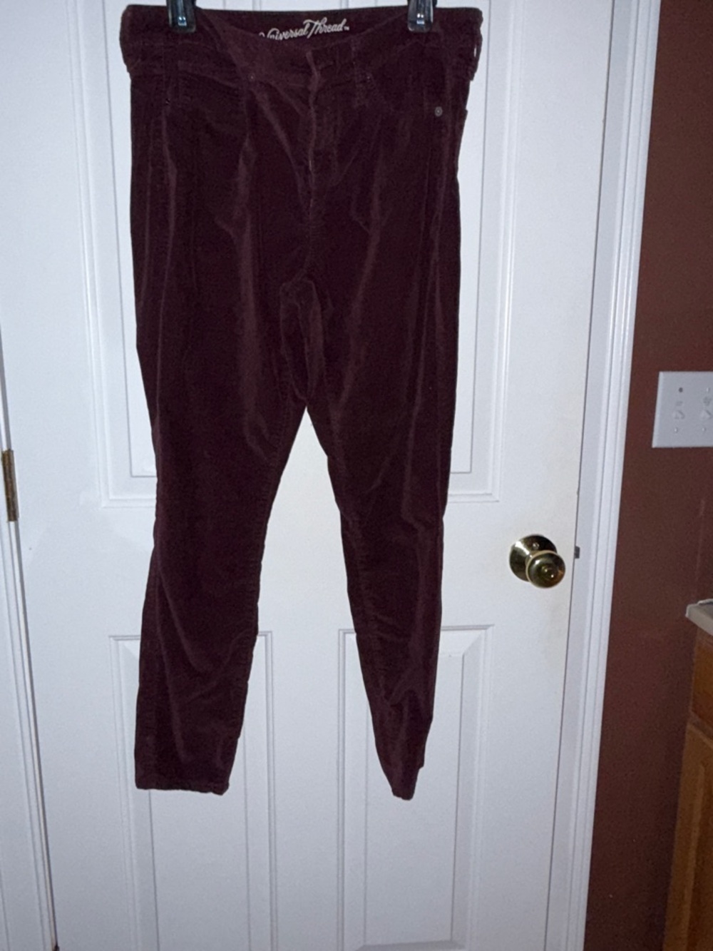 Universal Thread Velvet Pants in Burgundy